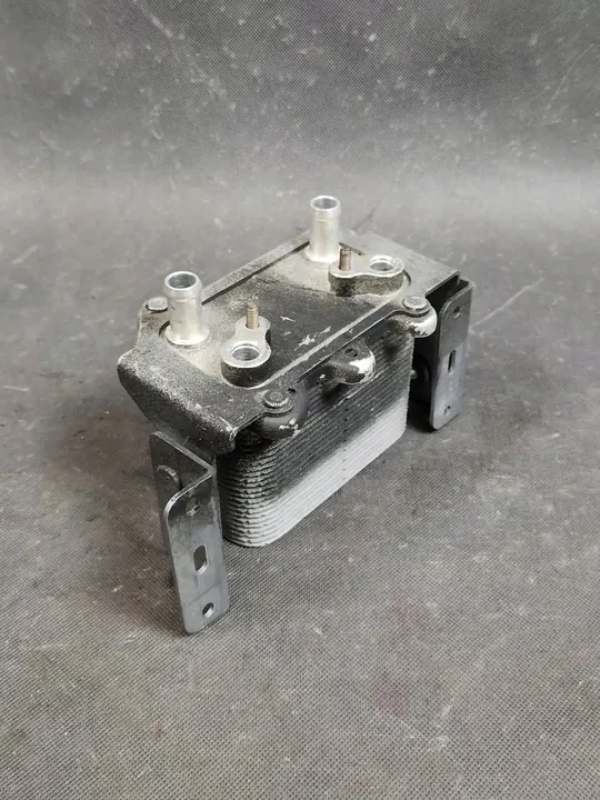 Radiateur Capteur Soupape Mercedes AMG GT R190 C190 W197 W463 A1975000800 image 4