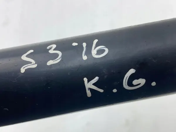 Ammortizzatore posteriore Audi A3 S3 8V 2016 8V0513021AA image 4