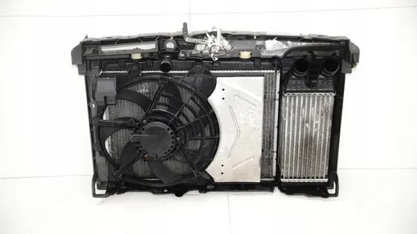 OEM 360149375 Voorste Riem voor Citroen DS3 09-12R image 6