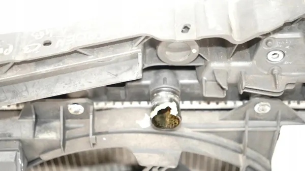 OEM 363001772 Etuhihna Citroen C3 Picasso 08-12 image 8