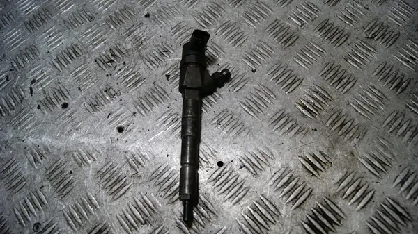 Injetor Opel Vectra C image 1