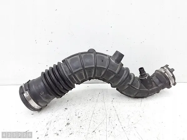 Manguera Dacia Sandero 2014 165764382R image 2