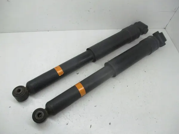 Set di ammortizzatori posteriori Laguna 3 562100001R image 2