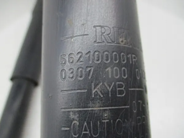 Set di ammortizzatori posteriori Laguna 3 562100001R image 3