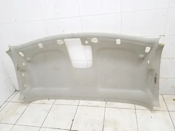OEM 739010101R Plafonnier pour Renault Master III/IV image 2