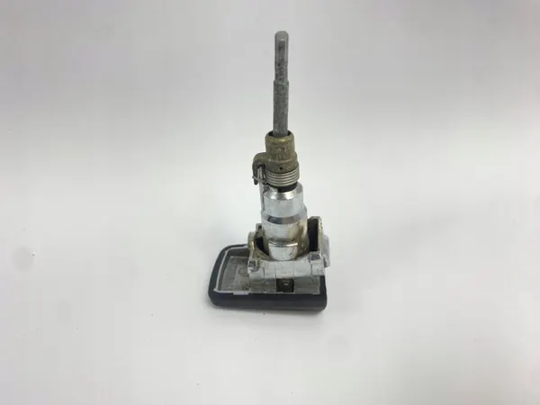 Insert de poignée de porte OEM WKŁAD WKŁADKA KLAMKI DRZWI CHROM image 5