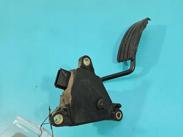 Gaspedaal Potentiometer Renault Scenic II 1.9 DCI OEM image 4