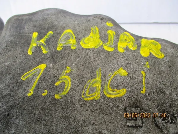 Oljepanna 111101864R Renault image 4