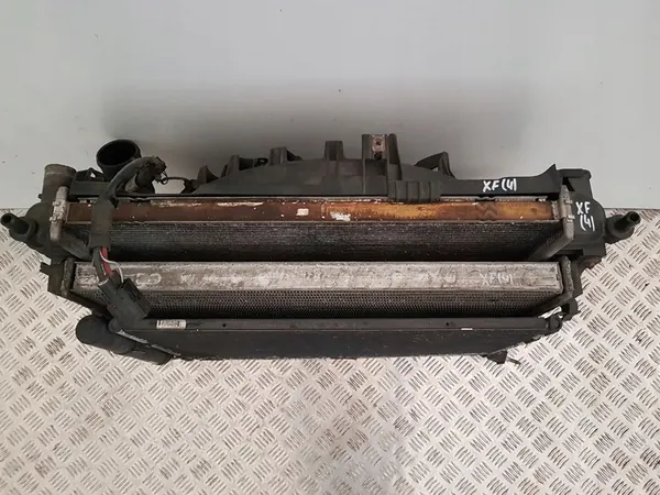 Radiador de Agua Jaguar XF X250 2.2 D CW93-8005-AA image 6