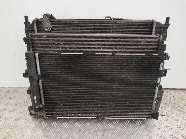 Radiador de Agua Jaguar XF X250 2.2 D CW93-8005-AA image 8