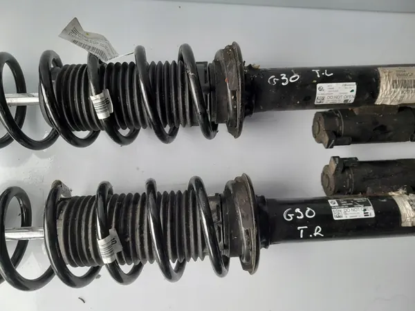 Ammortizzatore Posteriore Sinistro BMW 5 G30 G31 6886887 image 3