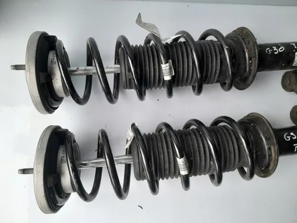 Ammortizzatore Posteriore Sinistro BMW 5 G30 G31 6886887 image 4