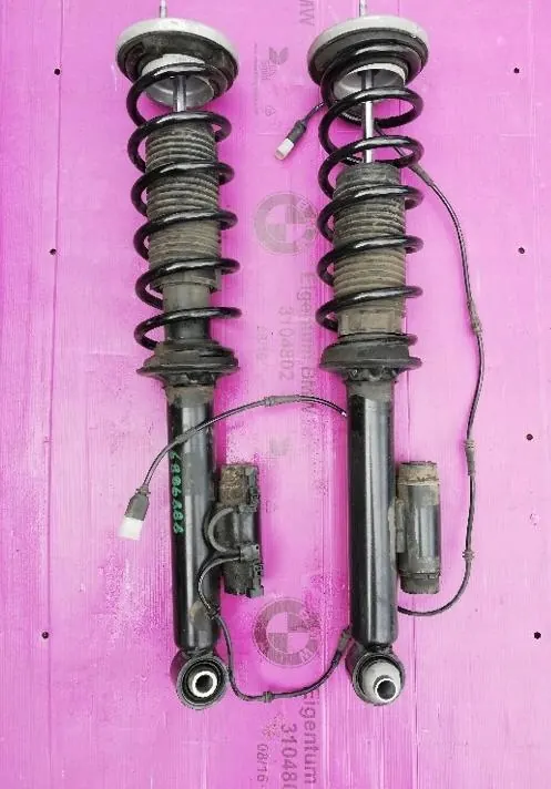 Ammortizzatore Posteriore Sinistro BMW 5 G30 G31 6886887 image 9