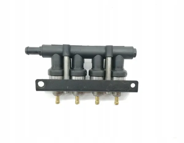 LPG Einspritzschiene OEM 110R006408 - Barracuda image 4