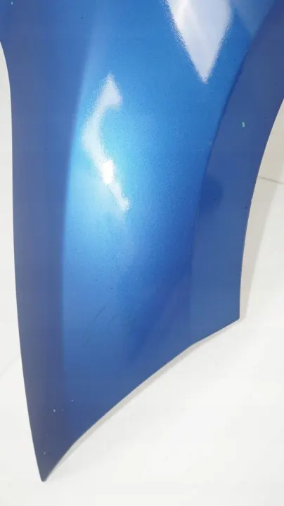 Voor linker spatbord OEM 360196860 voor Renault Megane III image 5