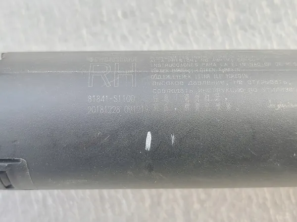 Höger baklucka aktuator Hyundai SANTA FE IV 81841-S1100 image 2