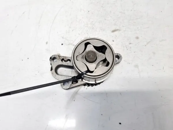 Pompe à huile OEM EIS-2305233 pour Chrysler Voyager 2002 image 2