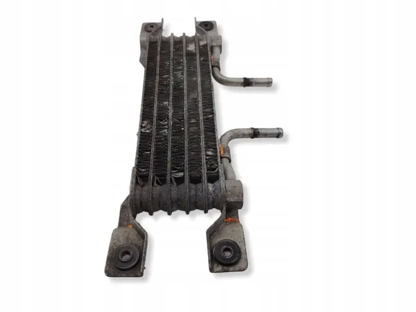 Refroidisseur de carburant Chevrolet OE d'occasion OEM NA image 10