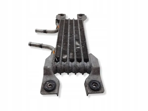 Refroidisseur de carburant Chevrolet OE d'occasion OEM NA image 5