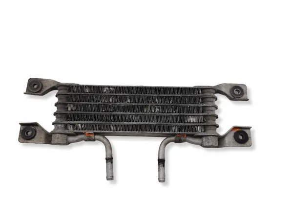 Refroidisseur de carburant Chevrolet OE d'occasion OEM NA image 6