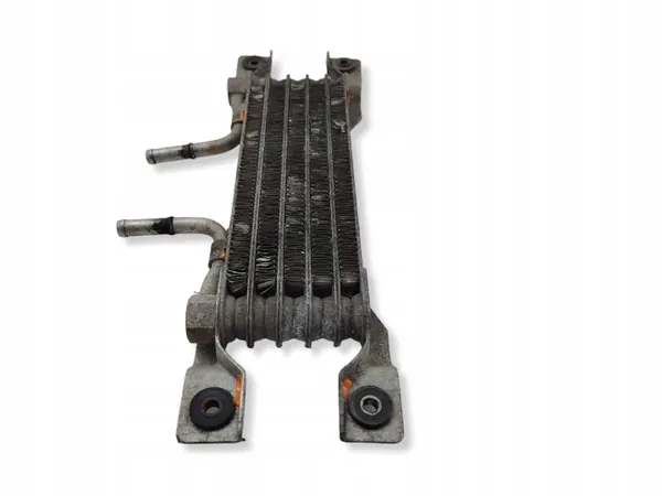 Refroidisseur de carburant Chevrolet OE d'occasion OEM NA image 8