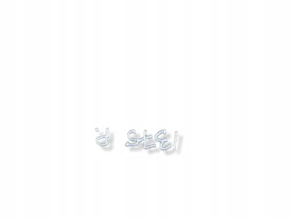 Abgashitzschild Hyundai Kona II 2025 OEM 28788BE200 image 8