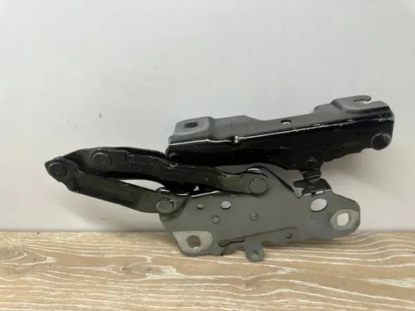 BMW X3 G01 Bisagra de Capó Derecha 41617475792 image 3
