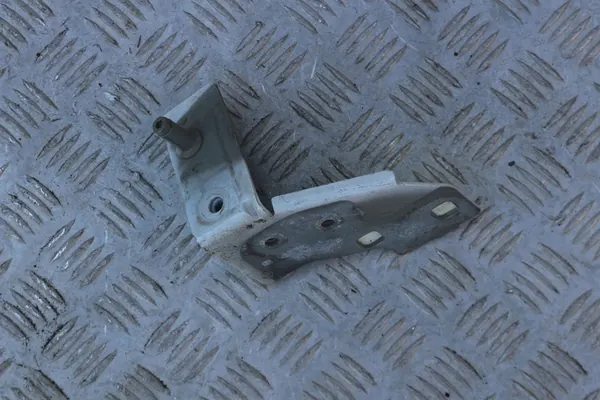 CLIO IV Kotflügelhalterung PP - OEM 641803356R image 2