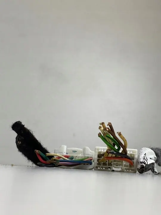 Conector radio OEM 281155216R para Dacia Sandero II/Duster image 3