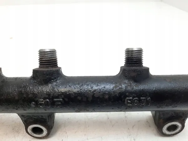 Rampa de combustível KIA Carnival 2009 315004X400 image 5