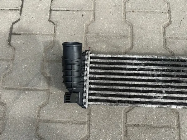 INTERCOOLER RENAULT KANGOO II 8200427469 image 4