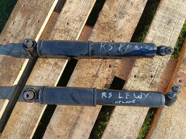 Ammortizzatore posteriore Renault Megane III RS 562100059R image 4