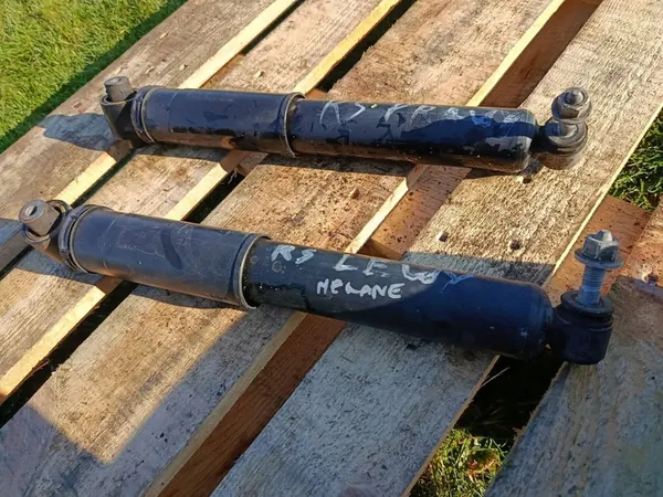 Ammortizzatore posteriore Renault Megane III RS 562100059R image 6