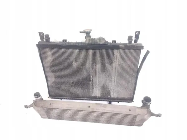 Jäähdytin OEM X2587002 Renault Koleos I 2.0 DCI image 2