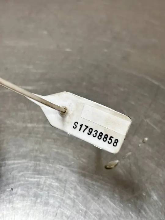 Vattenpump Renault Kangoo II III 210102841R image 4