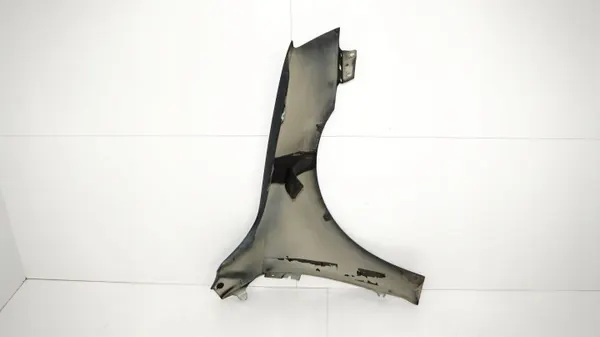 Para-lamas dianteiro esquerdo OEM 360151988 Skoda Octavia III image 10