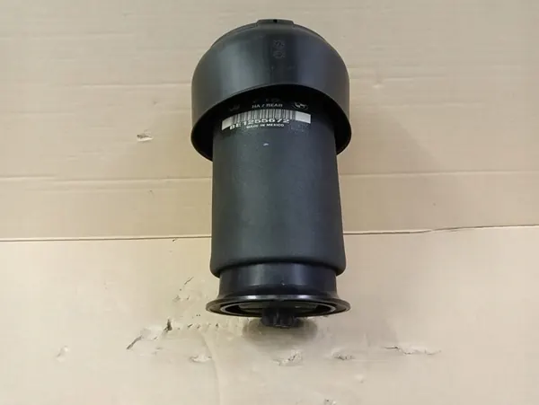 Luchtvering OEM 6795013 voor BMW X5 F15 X6 F16 image 2