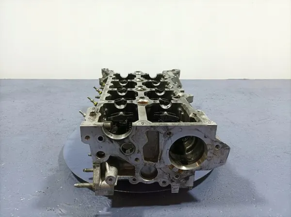 RENAULT SCENIC IV 1.6 DCI Motorblok 110422959R image 2