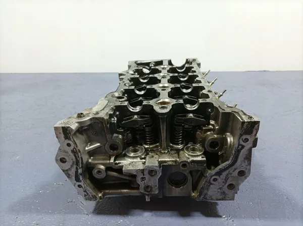 RENAULT SCENIC IV 1.6 DCI Motorblok 110422959R image 4