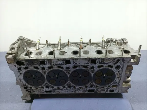 RENAULT SCENIC IV 1.6 DCI Motorblok 110422959R image 6