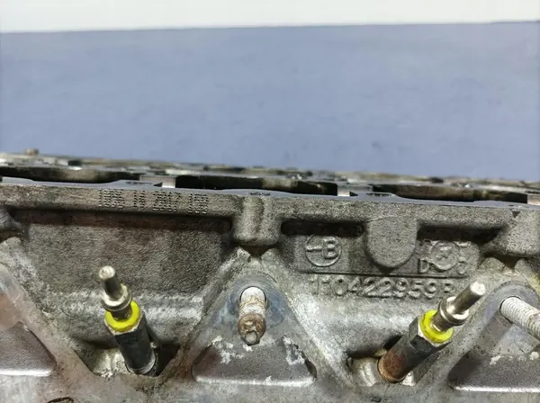 RENAULT SCENIC IV 1.6 DCI Motorblok 110422959R image 7