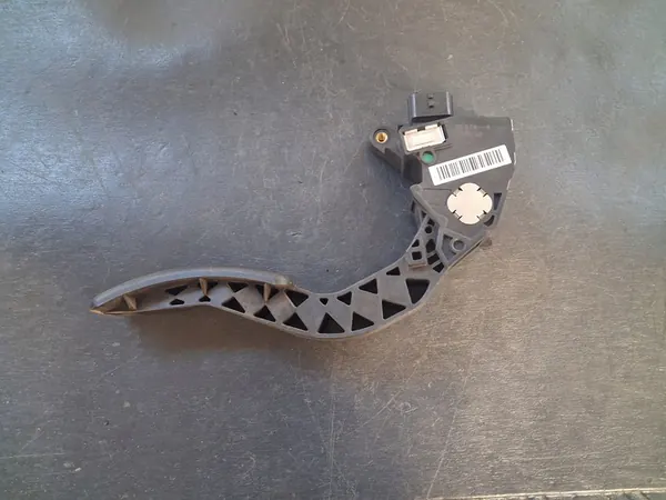 Kaasu Poljin Renault Scenic III 1.4 TCE 180020024R image 2