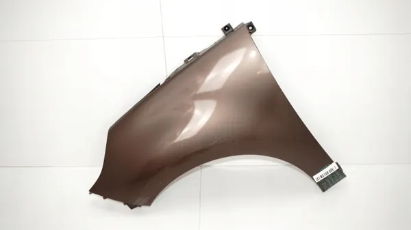 Para-lama dianteiro esquerdo OEM 360164630 para Renault Scenic III image 2