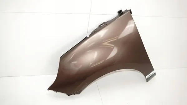 Para-lama dianteiro esquerdo OEM 360164630 para Renault Scenic III image 3