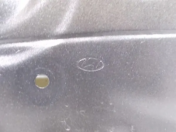 Höger framdörr Hyundai KONA 76004J9000 image 10