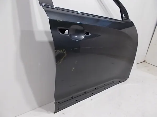 Höger framdörr Hyundai KONA 76004J9000 image 5