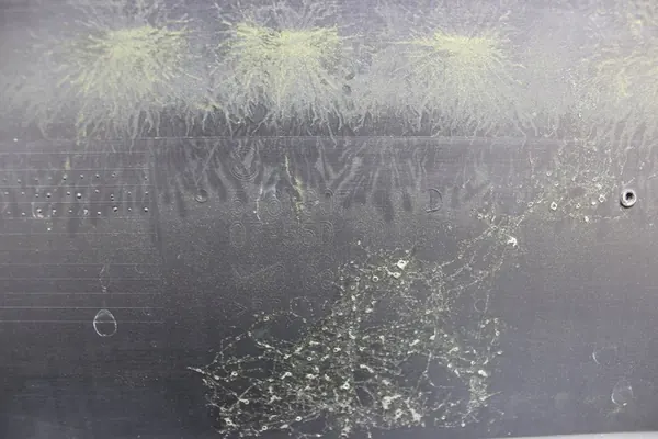 Paraurti posteriore VW Golf VIII 8 R-Line 2019-2024 OEM image 5