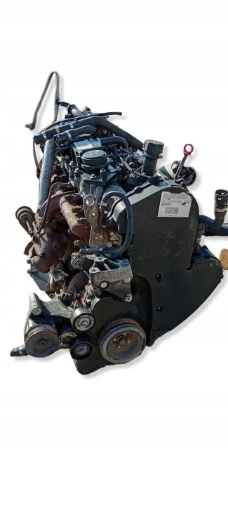 Complete motor F1AE0481D voor Fiat Ducato 2.3 JTD image 2