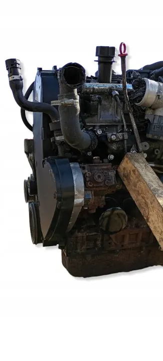 Complete motor F1AE0481D voor Fiat Ducato 2.3 JTD image 9