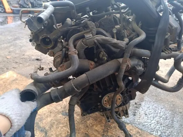 Motor OEM Wrakowisko-28413- para Skoda Octavia II FL image 9
